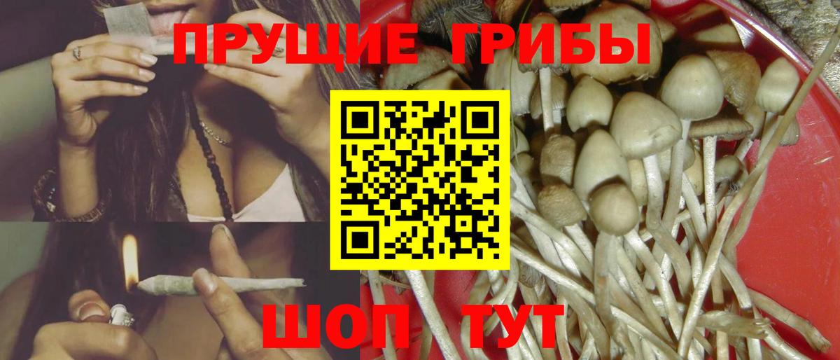 Галлюциногенные грибы мухоморы  Галлюциногенные грибы Magic Shrooms  Минеральные Воды  Вход с VPN 