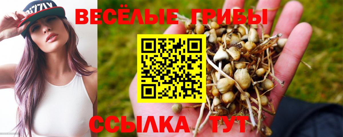 Псилоцибиновые грибы GOLDEN TEACHER Минеральные Воды